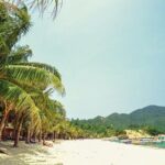 From Da Nang or Hoi An Cham Island Snorkeling Day Tour and Lunch - Why This Tour Offers Good Value