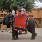 From Delhi: 5-Day Golden Triangle and Tiger Safari Tour - What This Tour Means for You