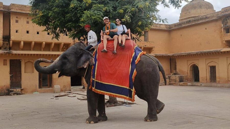 From Delhi: 5-Day Golden Triangle and Tiger Safari Tour - What This Tour Means for You