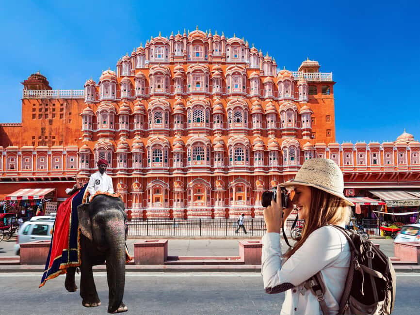 From Delhi: 5-Day Golden Triangle & Ranthambore Tiger Safari - What Travelers Say