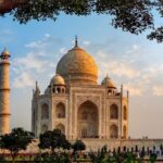 From Delhi: 5-Day Tiger Safari & Golden Triangle Tour - Transportation and Comfort