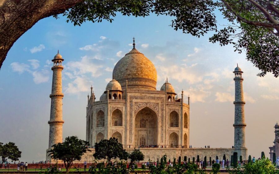 From Delhi: 5-Day Tiger Safari & Golden Triangle Tour - Transportation and Comfort