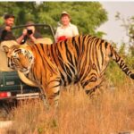 From Delhi: 6-Day Golden Triangle Tour with Ranthambore - What Makes This Tour Stand Out