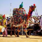 From Delhi: Ajmer and Pushkar 2-Day Tour with Car and Guide - An In-Depth Look at the 2-Day Delhi to Ajmer and Pushkar Tour