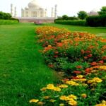From Delhi: Luxury 2 Days Taj Mahal Tour By Car - The Itinerary: Detailed Breakdown of Your Two Days