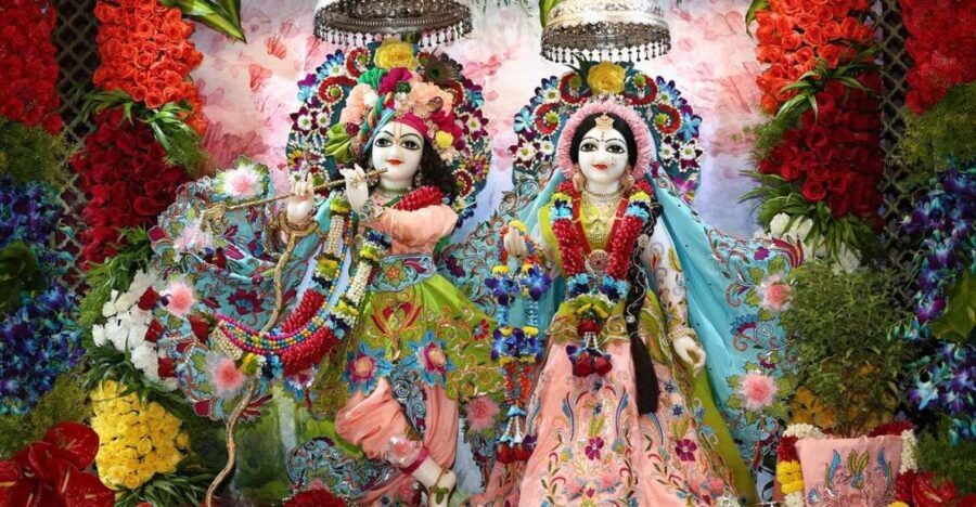 From Delhi: Private 1-day Mathura and Vrindavan Tour by Car - Who Should Consider This Tour?