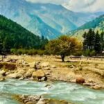 From Delhi: Rishikesh Guided Day Tour by Car - What Makes This Tour Special