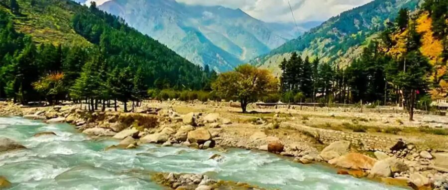 From Delhi: Rishikesh Guided Day Tour by Car - What Makes This Tour Special