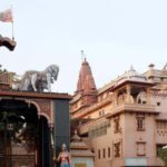 From Delhi: Taj Mahal & Mathura, Vrindavan Private Day Tour - A Detailed Look at the Experience