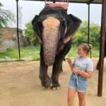 From Delhi: Taj Mahal Sunrise & Elephant Conservation by Car - Final Thoughts