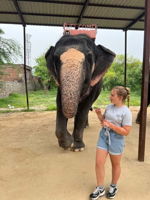 From Delhi: Taj Mahal Sunrise & Elephant Conservation by Car - Final Thoughts