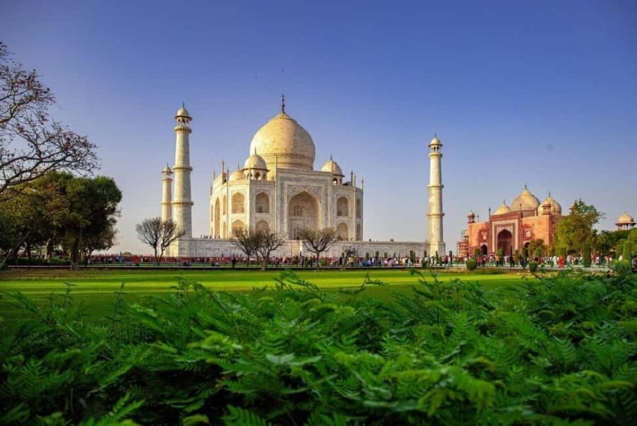 From Delhi: Taj Mahal Sunrise Tour with Elephant SOS Center - The Experience in Detail