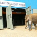 From Delhi: Trip to Taj Mahal, Wildlife SOS and Agra Fort - Why This Tour Offers Value