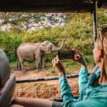 From Ella Shuttle to Tangalle/Mirissa/Galle with Yala Safari Tour - Who Will Love This Tour?