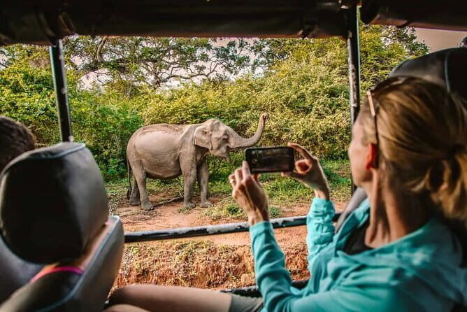 From Ella Shuttle to Tangalle/Mirissa/Galle with Yala Safari Tour - Who Will Love This Tour?