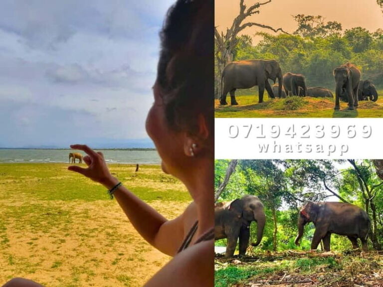 From Ella: Udawalawe National Park safari drop to Ella again - Authentic Experiences and Authentic Guides