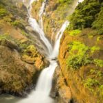 From Goa: Dudhsagar Waterfalls & Plantation Tour - Exploring the Spice Plantation