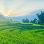 From Hà Ni ; Mu Cang Chai 3 Days 2 Nights By Car and Trekking - An In-Depth Look at the Mu Cang Chai 3-Day Tour