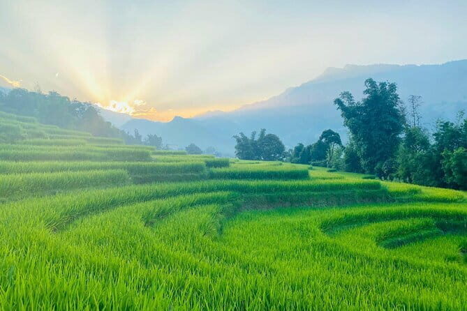 From Hà Ni ; Mu Cang Chai 3 Days 2 Nights By Car and Trekking - An In-Depth Look at the Mu Cang Chai 3-Day Tour