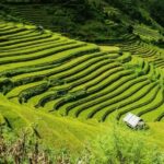 From Hanoi: 2-Days Sapa Trekking Tour Lao Chai and Cat Cat - What Travelers Say: Authentic Experiences with Some Caveats