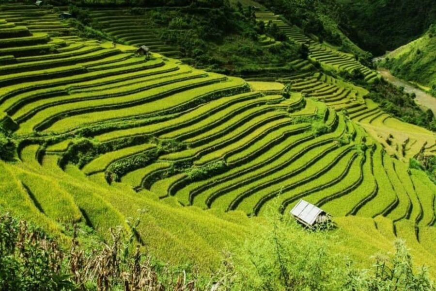 From Hanoi: 2-Days Sapa Trekking Tour Lao Chai and Cat Cat - What Travelers Say: Authentic Experiences with Some Caveats