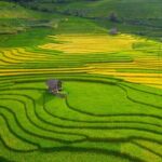 From Hanoi: 3 Days Sapa Trekking & Ethnic Villages by Dcar - The Sum Up: Is It Worth It?