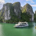 From Hanoi- Halong Bay on Luxury Day Cruise buffet lunch - An In-Depth Look at the Experience