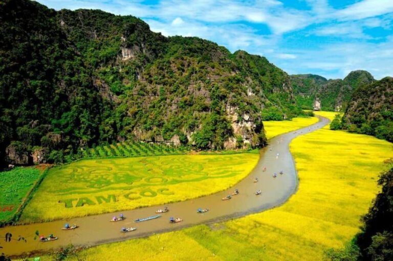 From Hanoi: Ninh Binh Bai Dinh & Trang An & Mua Caves - Why This Tour Is a Great Choice
