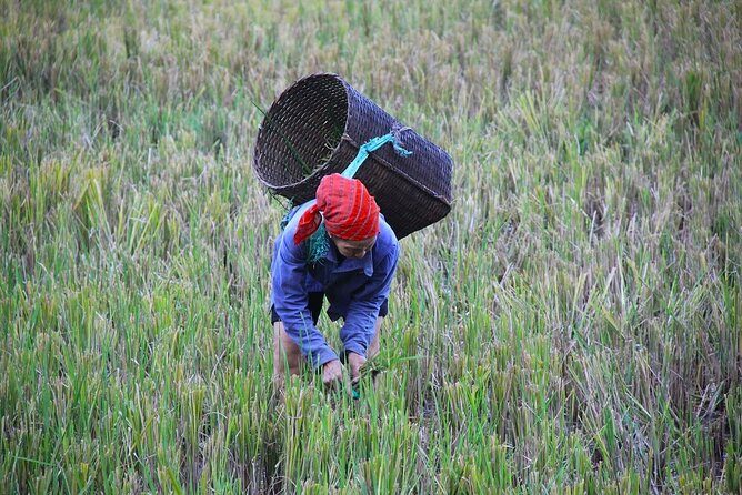 From Hanoi: THE BEST Day Trip to Mai Chau Explore Rural Villages - FAQs