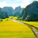 From Hanoi: Visit Hoa Lu & Trang An or Tam Coc & Mua Caves - A Deep Dive Into the Ninh Binh Experience