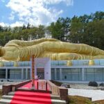 From Hitsujigaoka to Buddha Hill Sapporo Photo Spots Tour - What the Tour Feels Like