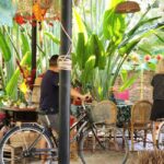 From Ho Chi Minh : Authentic Mekong Experience in Ben Tre - Exploring the Cacao and Coconut Farms