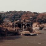 From Jaipur : 2 Days Ranthambore Tiger Safari Tour By Car - A Detailed Look at the Ranthambore Safari Tour