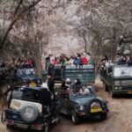 From Jaipur: Ranthambore National Park Safari with Transfers - Price and Value Analysis