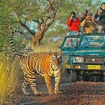 From Jaipur: Ranthambore Tiger National Park Tour (02 Days) - Frequently Asked Questions