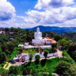 From Kandy: All Inclusive Full-Day Tour in Kandy - Private - An In-Depth Look at the Tour Experience
