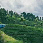 From Kandy: Second/Third Class Scenic Train Ticket to Ella - The Sum Up