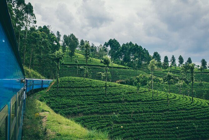 From Kandy: Second/Third Class Scenic Train Ticket to Ella - The Sum Up