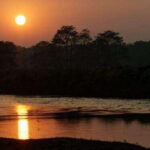 From Kathmandu: 1 Night 2-Day Chitwan Jungle Tour - A Closer Look at the Chitwan Jungle Tour Experience