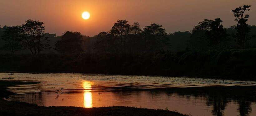 From Kathmandu: 1 Night 2-Day Chitwan Jungle Tour - A Closer Look at the Chitwan Jungle Tour Experience