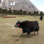 From Kathmandu: 13-Day Manaslu Circuit Trek - Practical Considerations and Tips