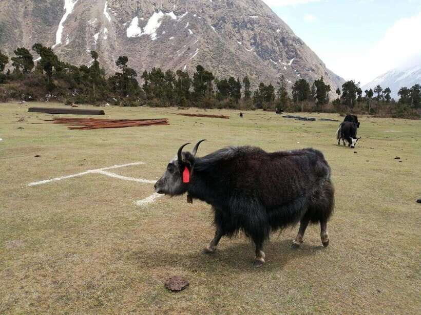 From Kathmandu: 13-Day Manaslu Circuit Trek - Practical Considerations and Tips