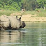 From Kathmandu: Private 3-Day Chitwan Safari Tour - Who Should Consider This Tour?