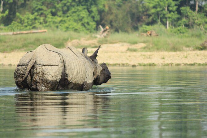 From Kathmandu: Private 3-Day Chitwan Safari Tour - Who Should Consider This Tour?