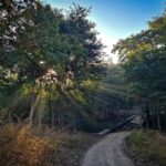 From Khajuraho: Panna National Park Official Tiger Safari - Is This Tour Worth It?