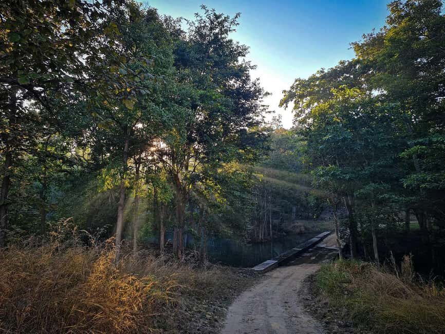 From Khajuraho: Panna National Park Official Tiger Safari - Is This Tour Worth It?