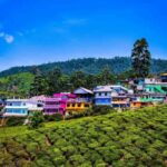 From Kochi:- 02 Days, Munnar Nature Beauty Hill Station Tour - The Journey Begins: From Kochi to Munnar