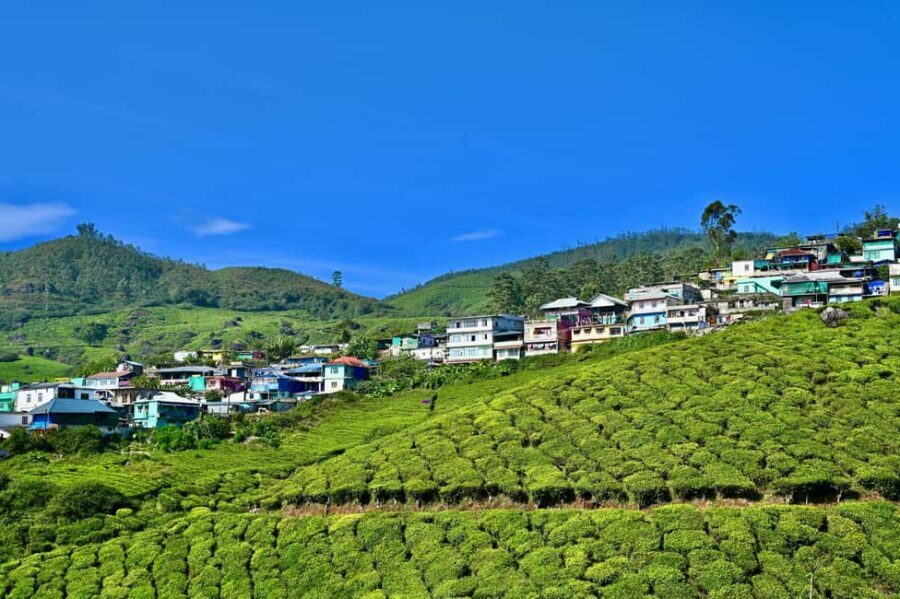 From Kochi: Munnar Hill Station Day Trip - What Makes Each Stop Special?