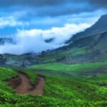 From Kochi: Munnar & Tea Museum Private Guided Tour - The Journey Begins: From Kochi to the Lush Hills of Munnar