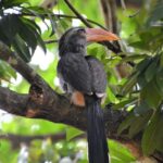 From Kochi:- Periyar Elephant Bath, Nature Walk Guided Tour - Why This Tour Offers Real Value